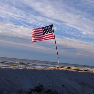 Meet your Posher, Dakota